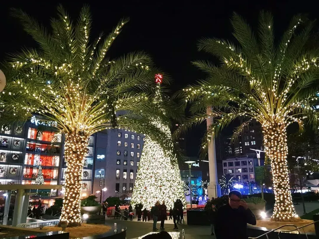 union-square-arbres-de-noel